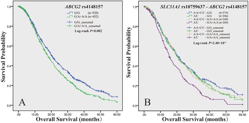 J Cancer Image