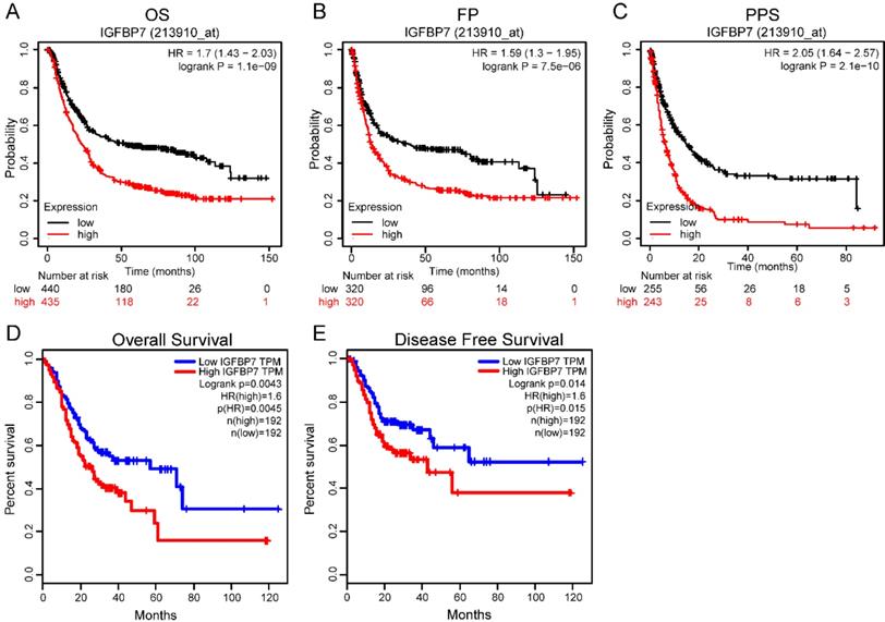 J Cancer Image