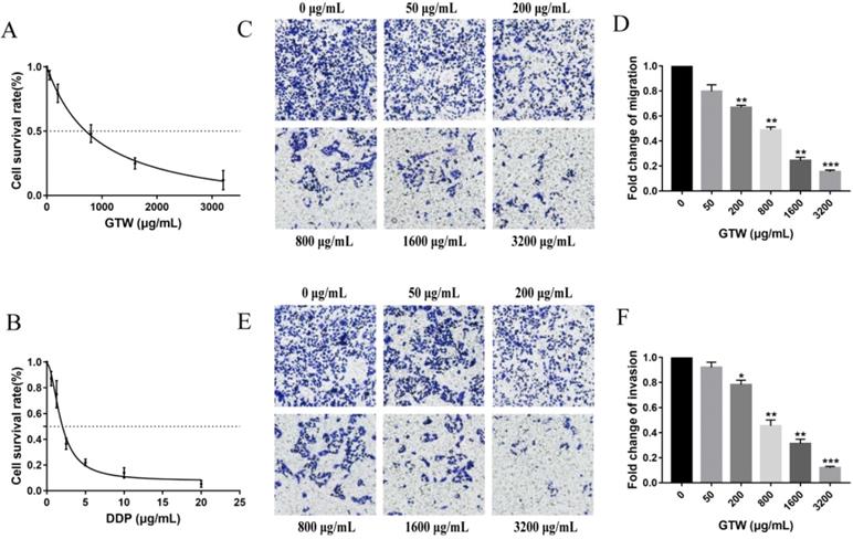 J Cancer Image