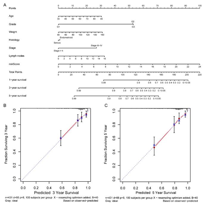 J Cancer Image