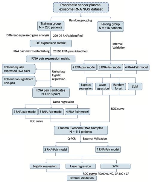 J Cancer Image