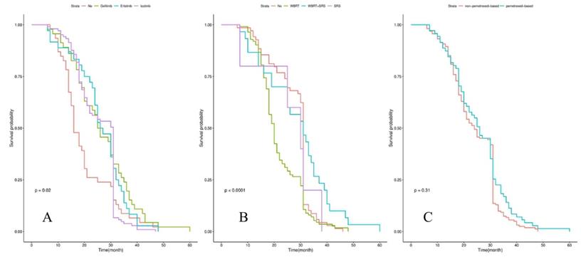 J Cancer Image