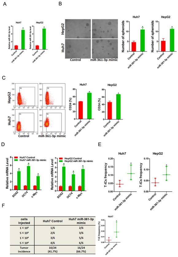 J Cancer Image