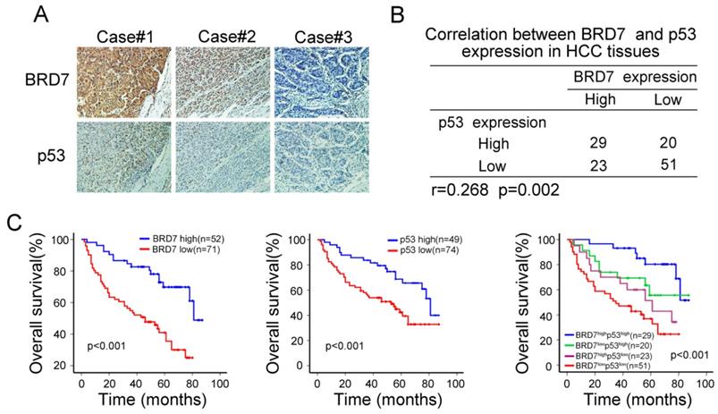 J Cancer Image