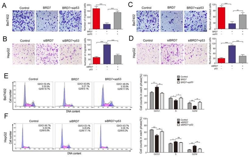 J Cancer Image