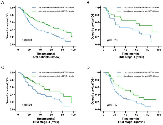 J Cancer Image