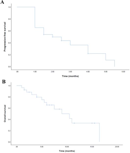 J Cancer Image