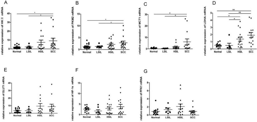 J Cancer Image