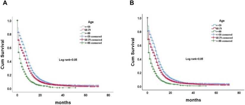 J Cancer Image