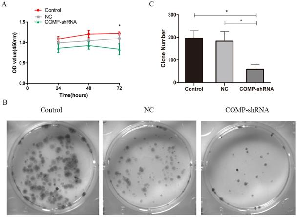 J Cancer Image