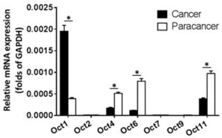 J Cancer Image