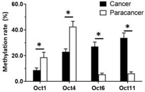 J Cancer Image