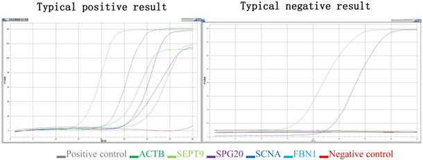 J Cancer Image