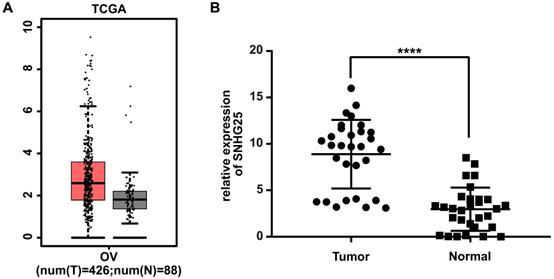 J Cancer Image