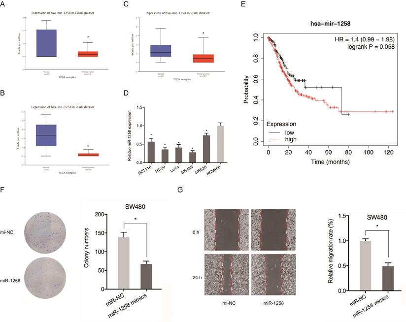 J Cancer Image