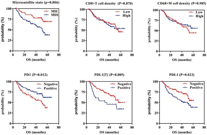 J Cancer Image