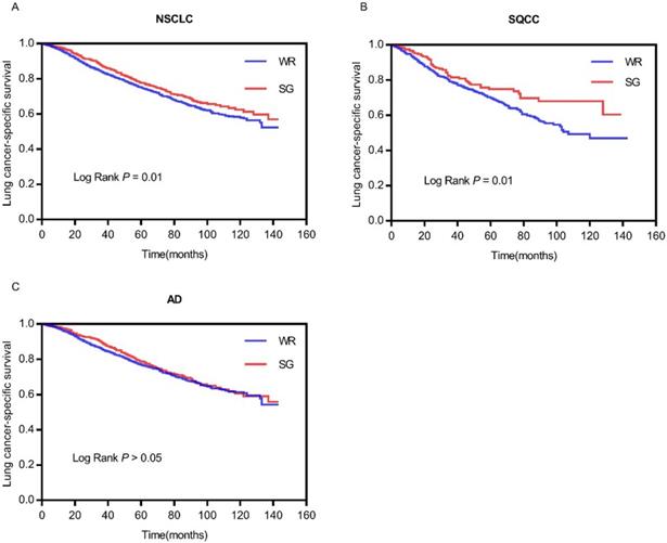 J Cancer Image