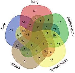 J Cancer Image