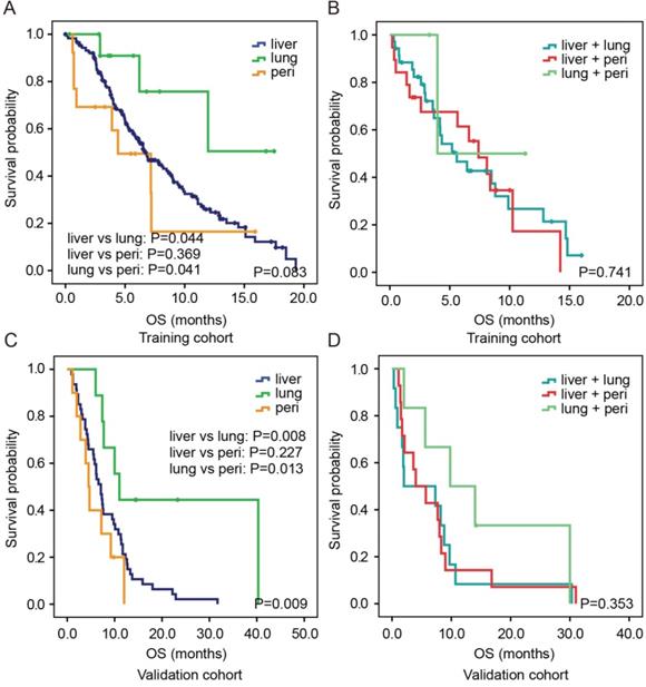 J Cancer Image