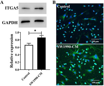 J Cancer Image