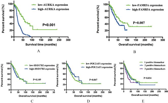 J Cancer Image