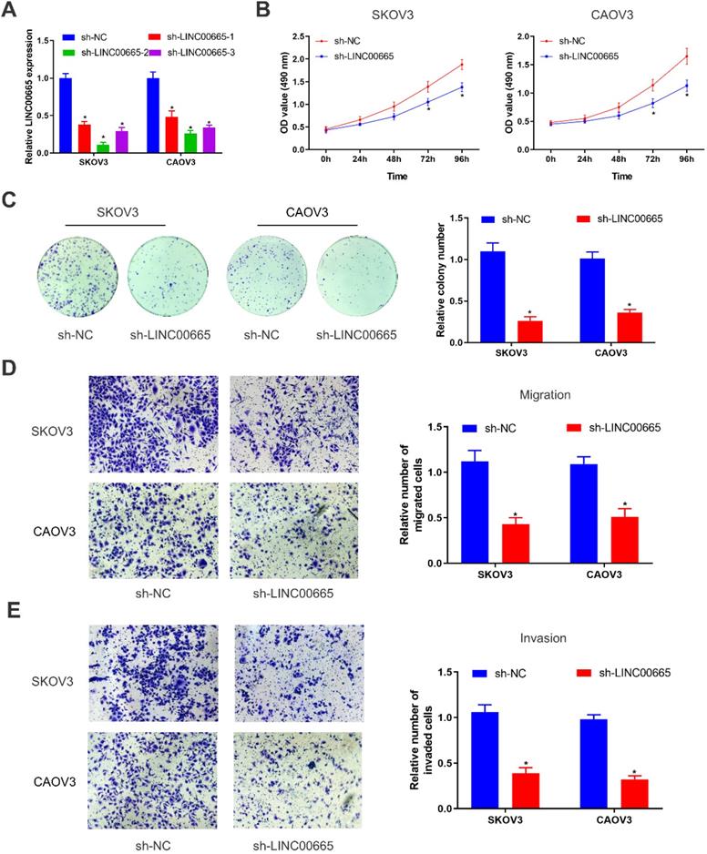 J Cancer Image