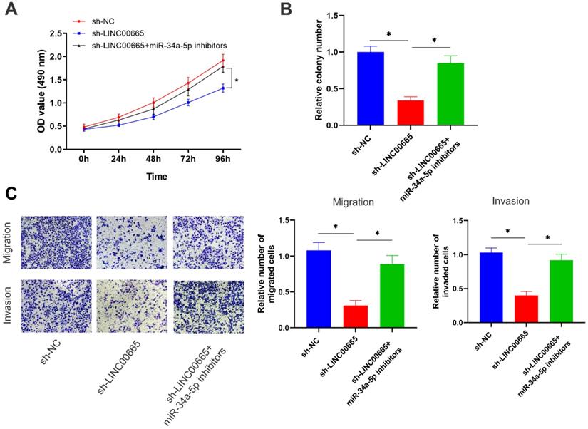 J Cancer Image