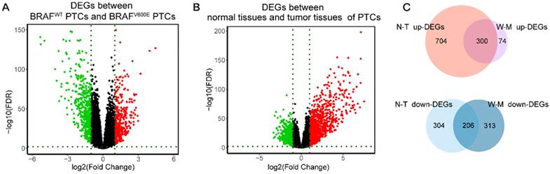 J Cancer Image