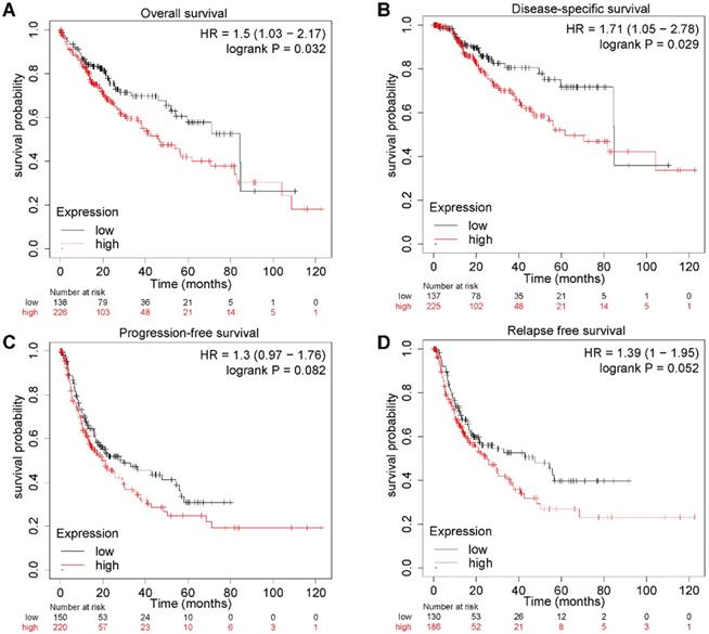 J Cancer Image