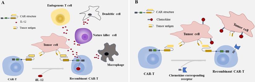 J Cancer Image