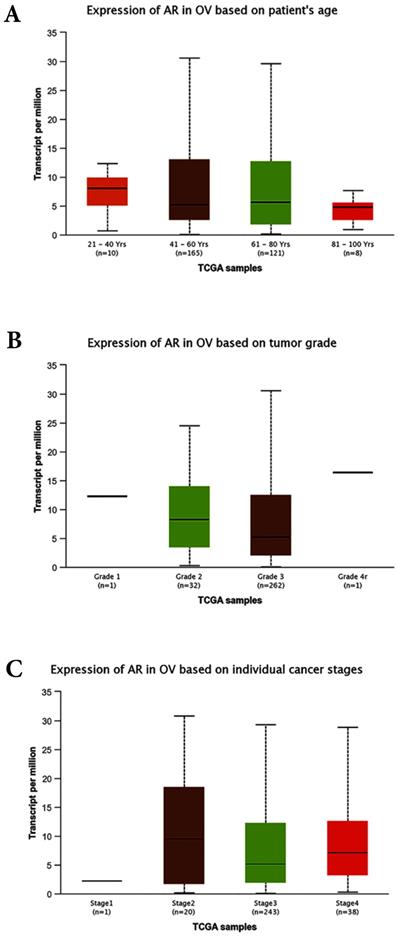 J Cancer Image