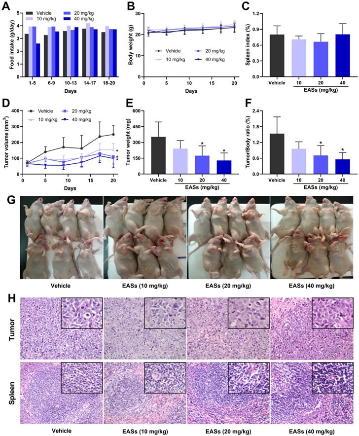 J Cancer Image