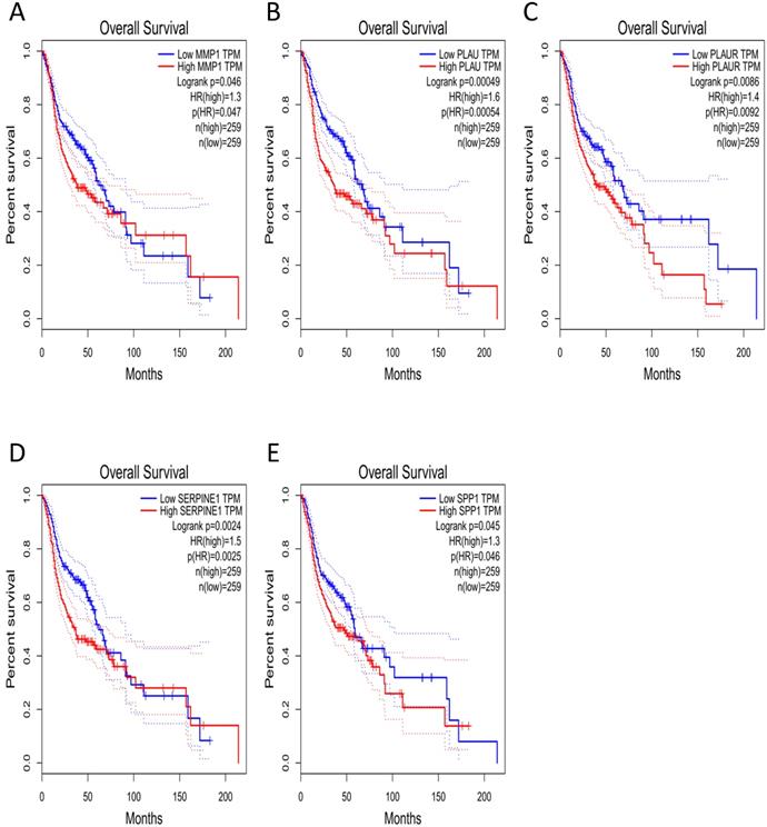 J Cancer Image