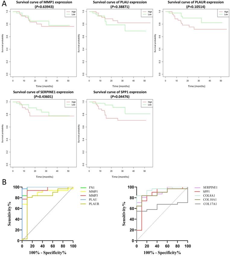 J Cancer Image