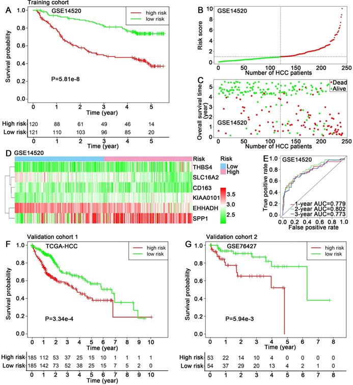 J Cancer Image