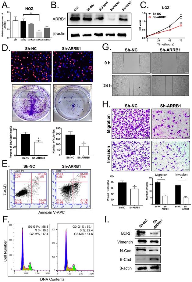 J Cancer Image