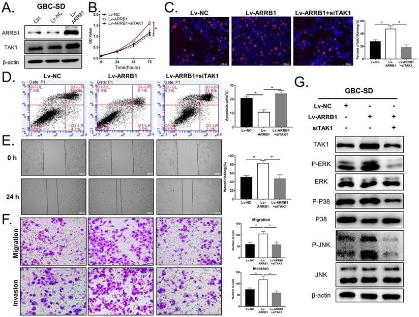 J Cancer Image