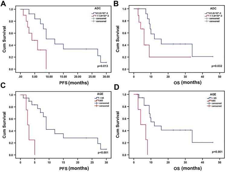 J Cancer Image