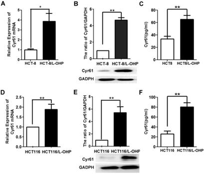 J Cancer Image