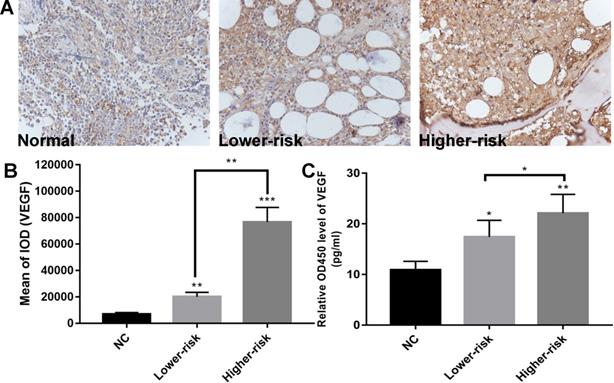 J Cancer Image