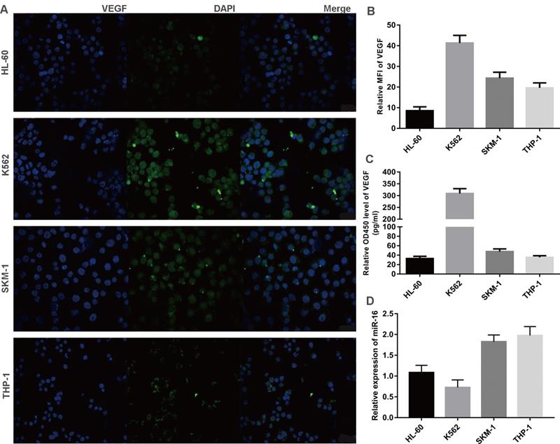 J Cancer Image