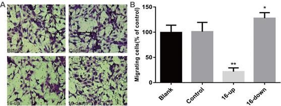 J Cancer Image