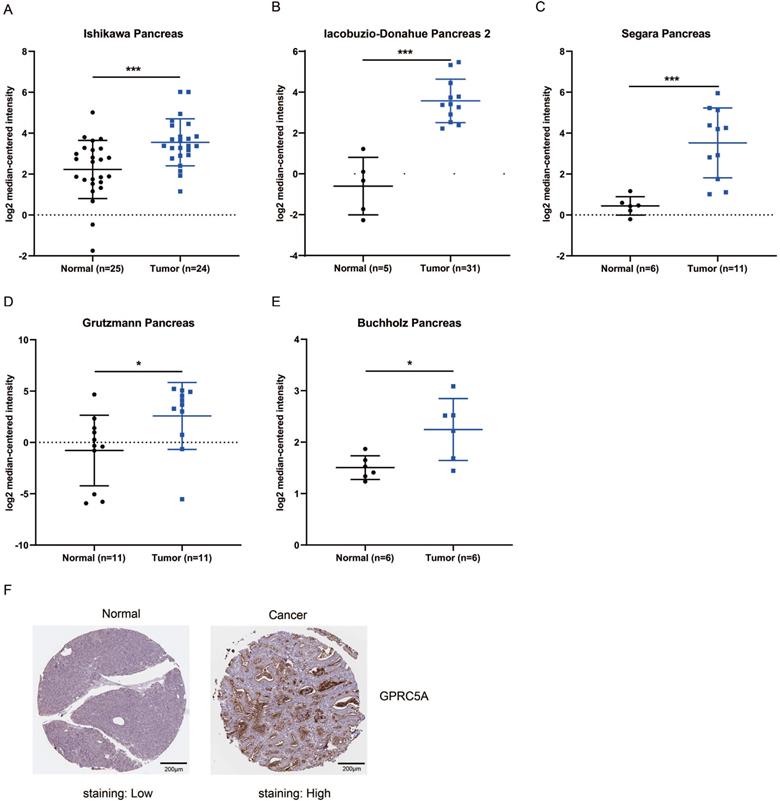 J Cancer Image