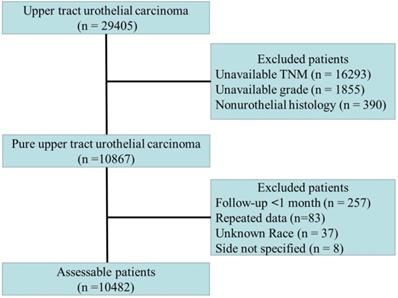 J Cancer Image