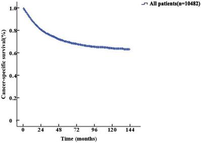 J Cancer Image