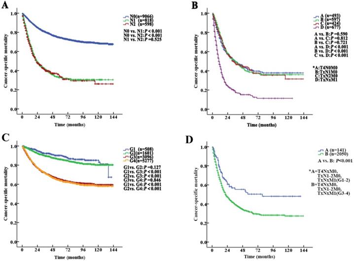 J Cancer Image