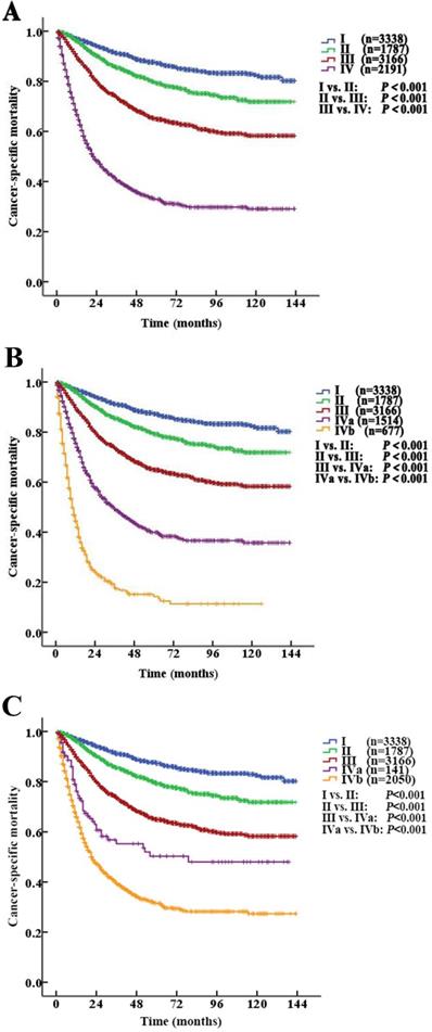 J Cancer Image