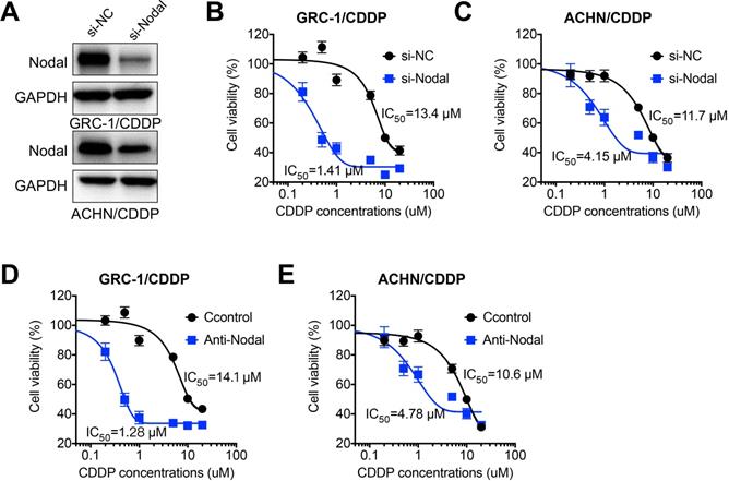 J Cancer Image