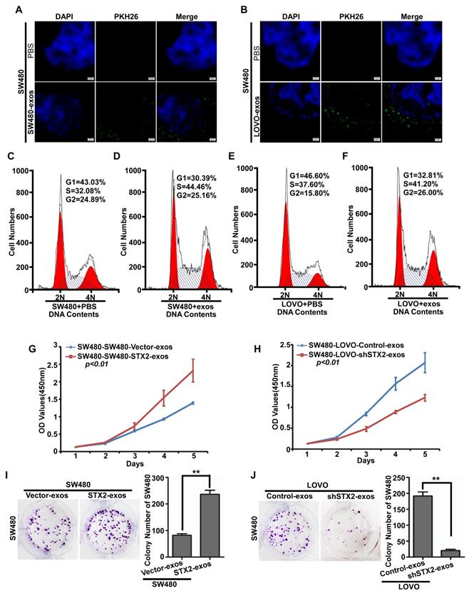 J Cancer Image