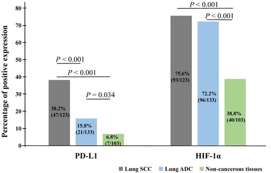 J Cancer Image